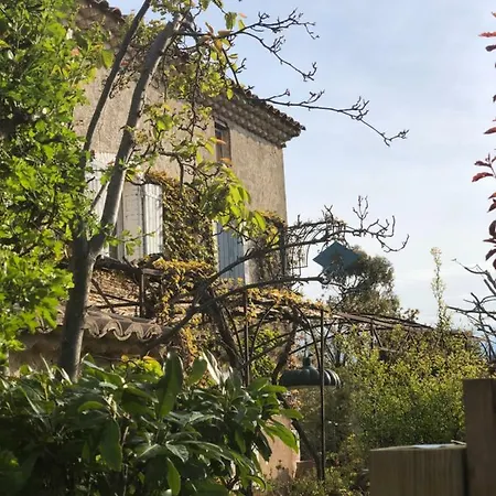 La Belle Etoile